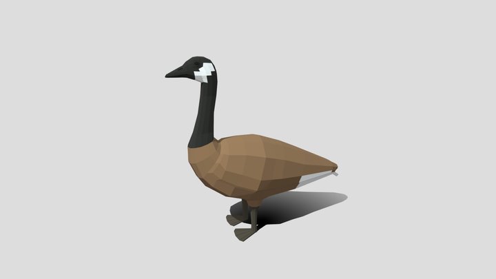 Low Poly Cartoon Canada Goose 3D Model