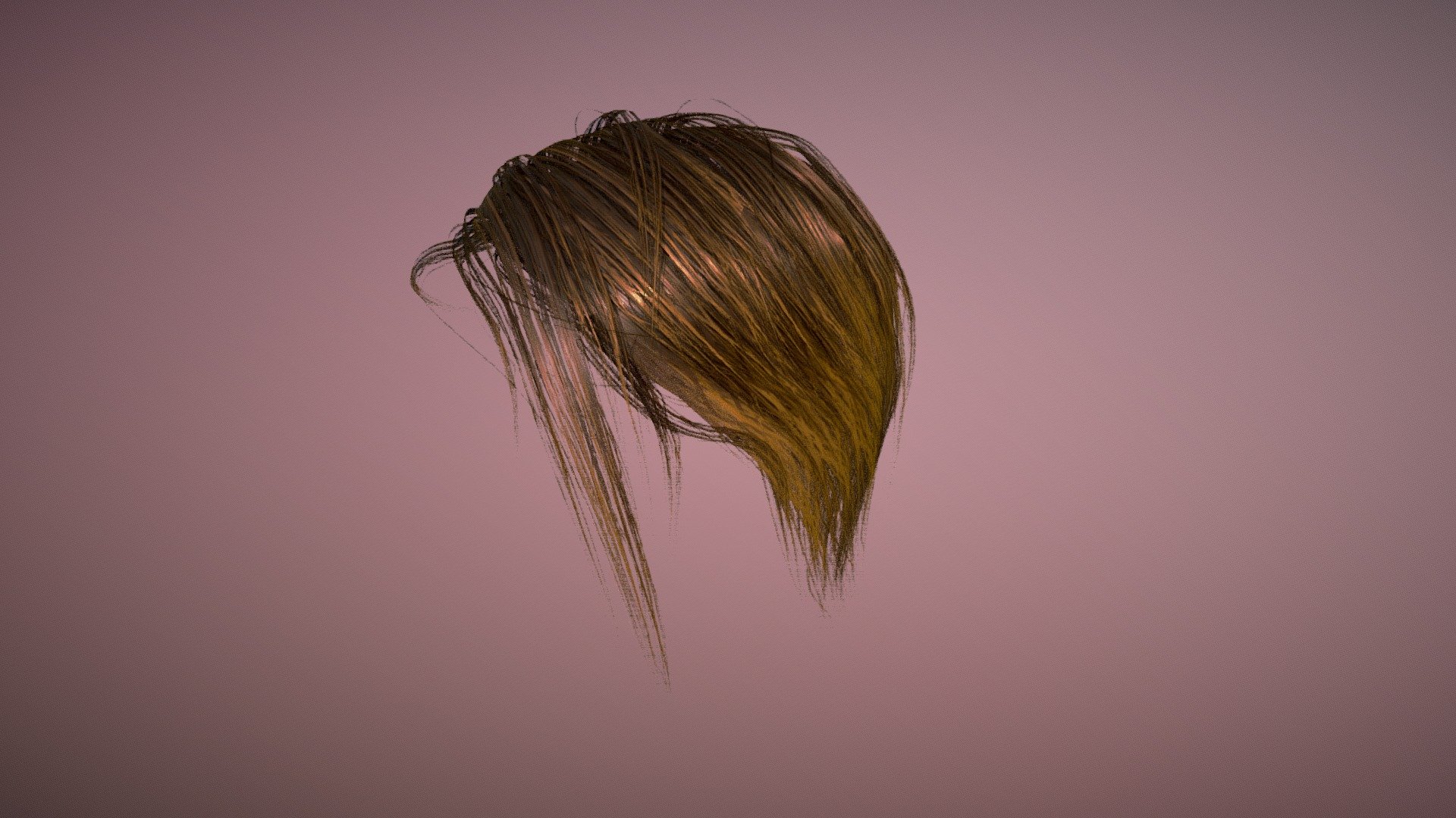 Hair wig 3d outlet model