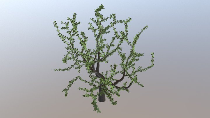 Small tree 3D Model