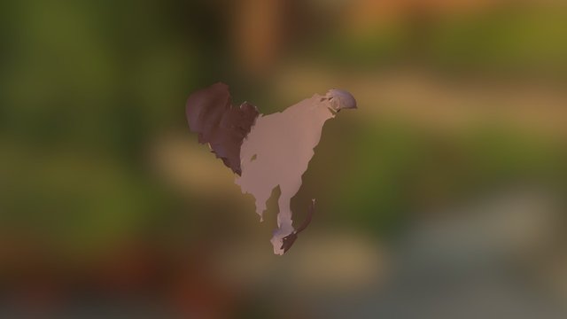Don't Know what this is 3D Model