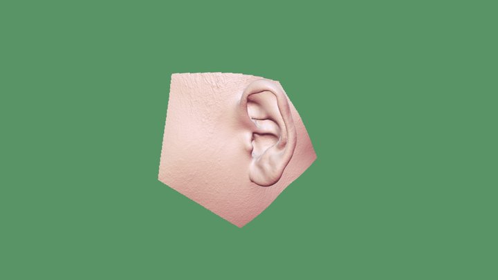 Ear