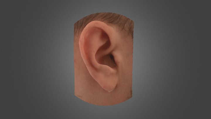 Orelha / Ear 3D Model