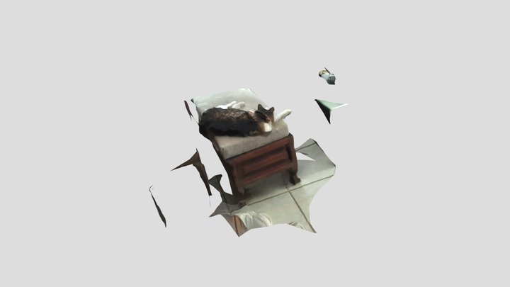 Sleeping Cat 3D Photo Scan 3D Model