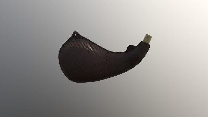 Medieval water Bag 3D Model