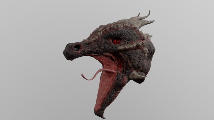 Dragon Head Lennon WorldSkills Practice 3D Model