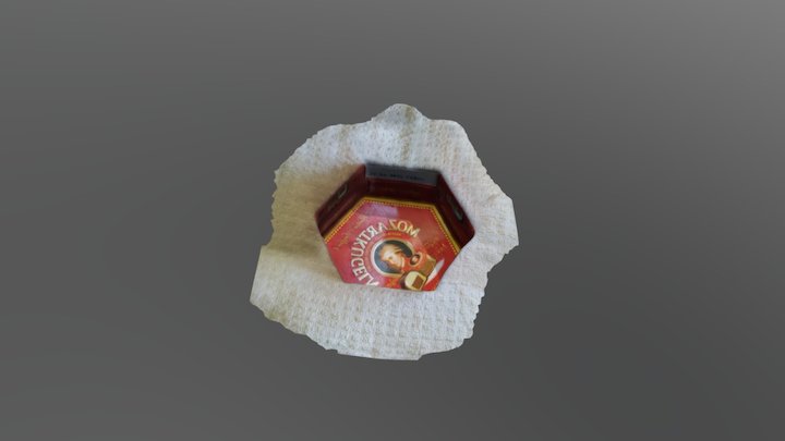 Model1 3D Model