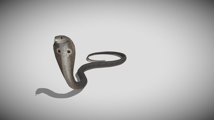 Medhue Cobra 3D Model