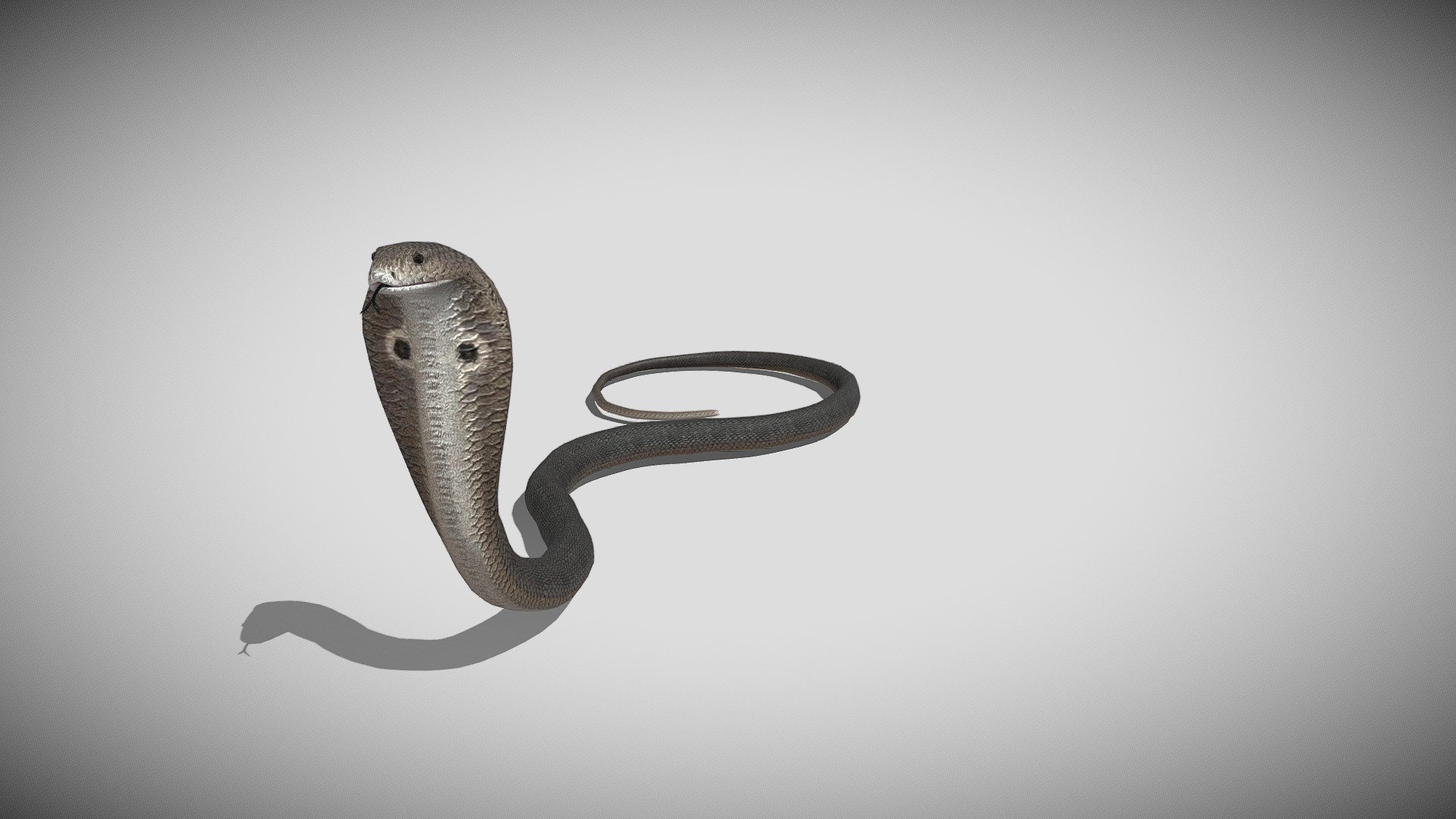 Medhue Cobra - Buy Royalty Free 3D model by Medhue (@Medhue1) [10ce756]