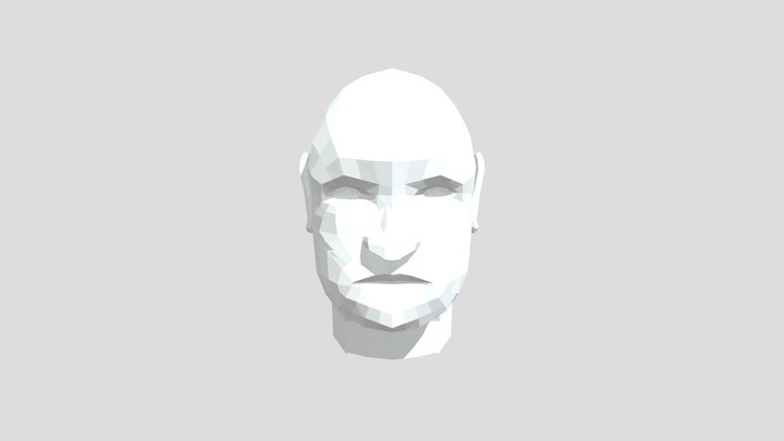 3D_ Self Portret_ Low Poly_ Deferme- Warre 3D Model