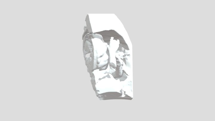IMG 20200214 1 3 3D Model