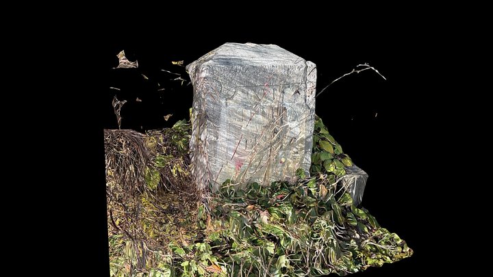 «XVI Stunden von Bern»  nach Saanenmöser – Modello 3D gratuito STL