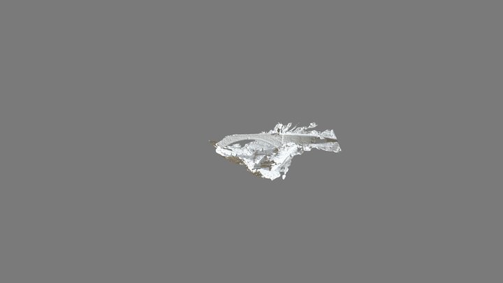 Devil's Pool 3D Model