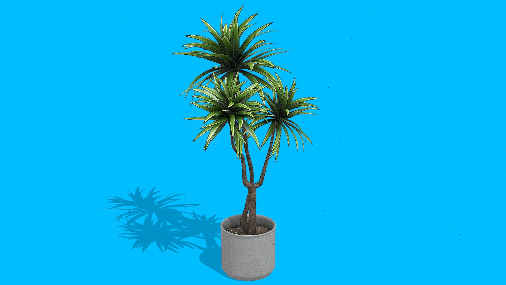 Free 3D Model Plant - 3D model by ₦₥₵ ฿₵ (@nmcbc) [10df2f6] - Sketchfab