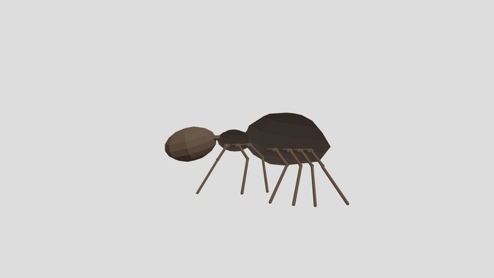 Scary Insect 3D Model