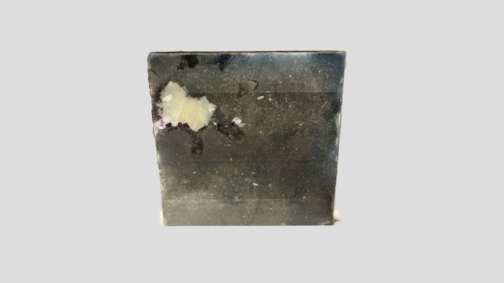 Petit Granit slab with sponge fossil 3D Model