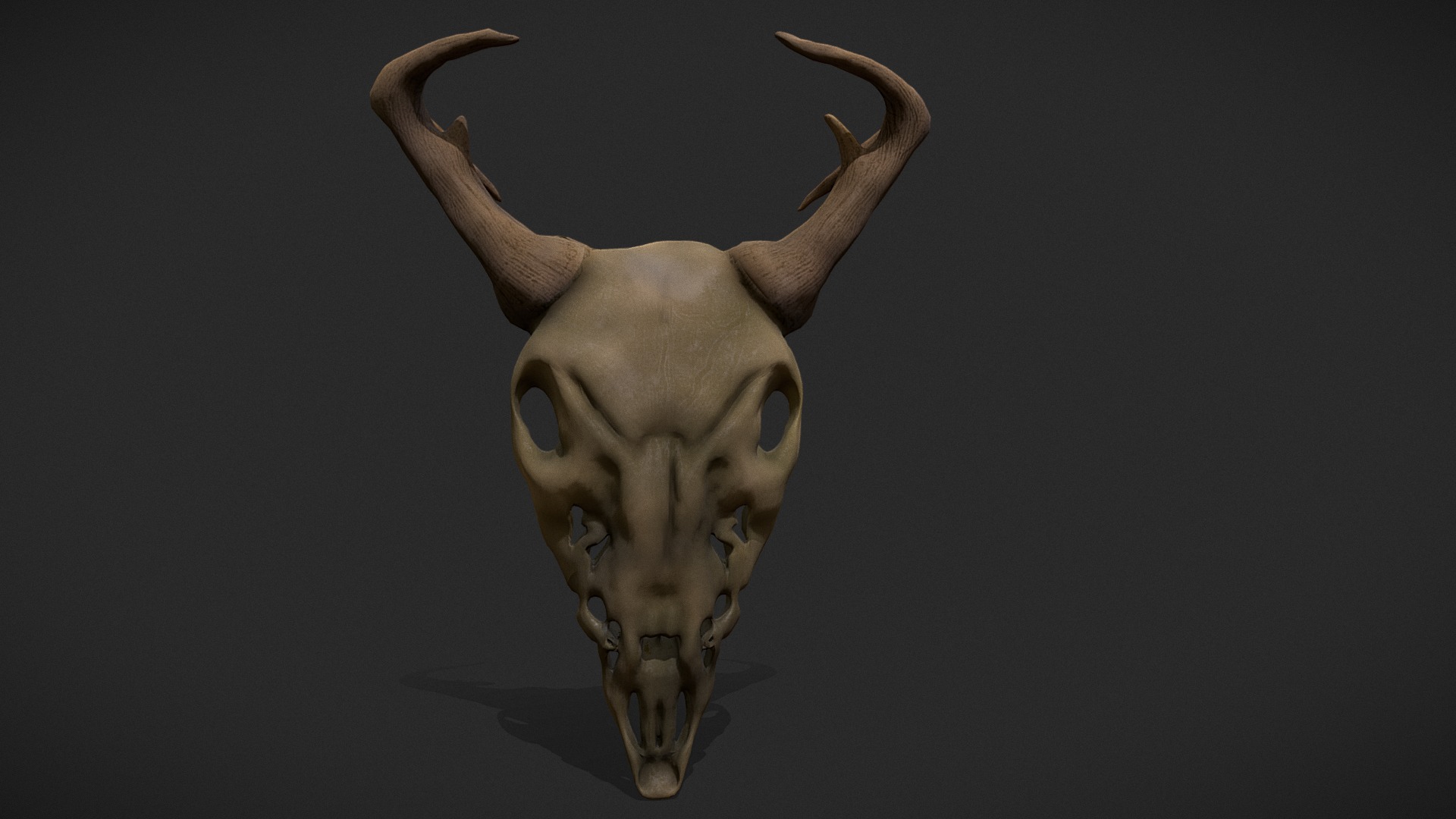 3D model Ram Skull Mask Decoration 3D model
