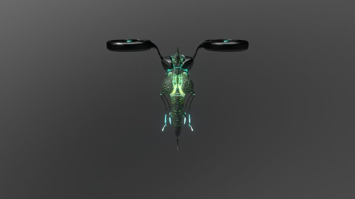 Insecte 3D Model