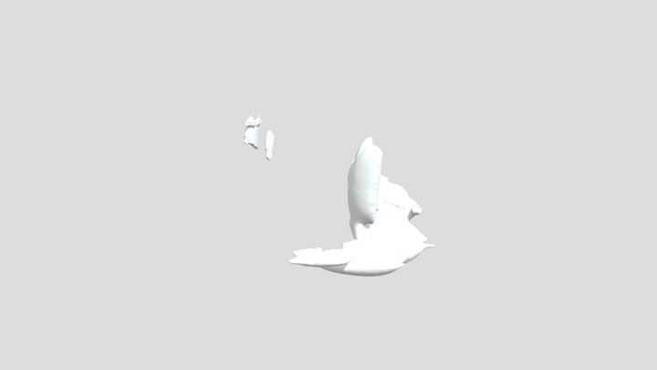EXScan 3D Model