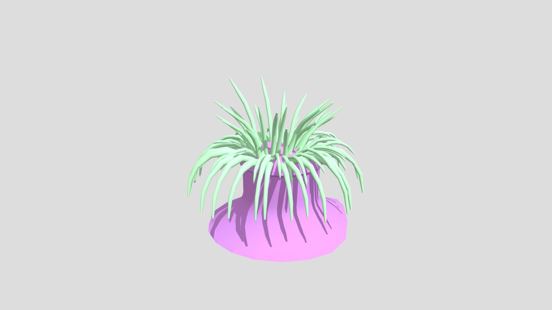 Sea anemone pink from Poly by Google — Sketchfab embed 3D viewer