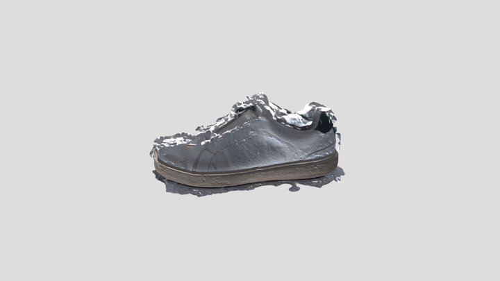 shoe_test 3D Model