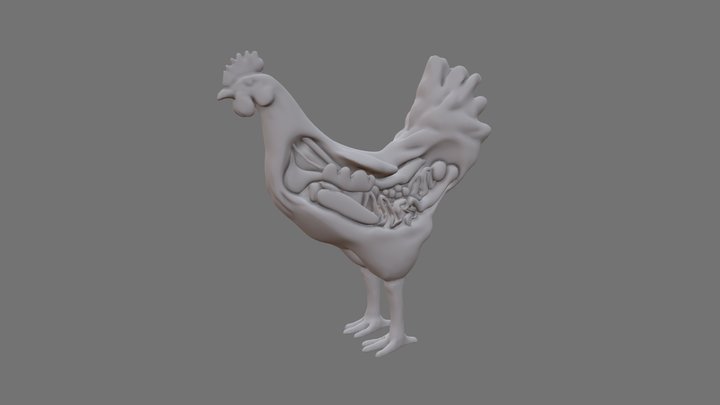 Chicken organs 3D Model