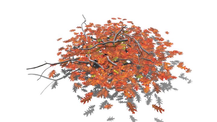 Realistic HD Red oak leaf litter (19/36) 3D Model