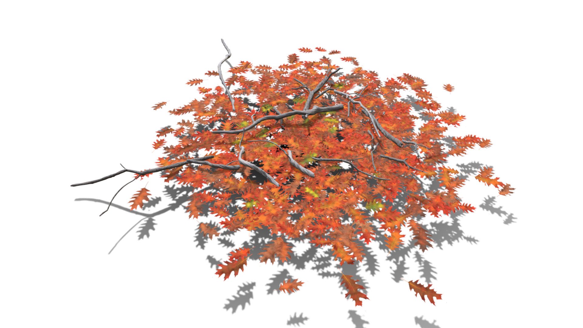 Realistic HD Red oak leaf litter (19/36) - Download Free 3D model by