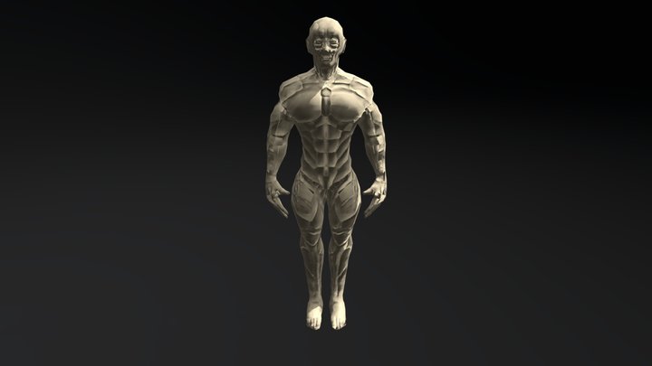 MuscleAnatomy - An Attempt 3D Model