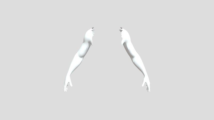 Male hands 3D Model