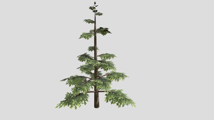 tree 3D Model