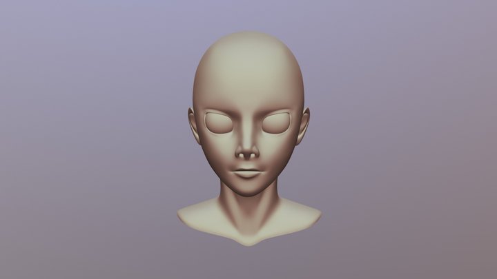 Basic Head Template 3D Model