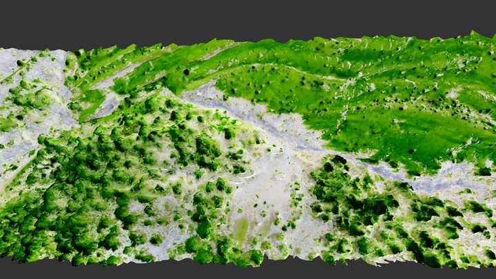 Estat de salut d'un bosc de Pi Roig 3D Model