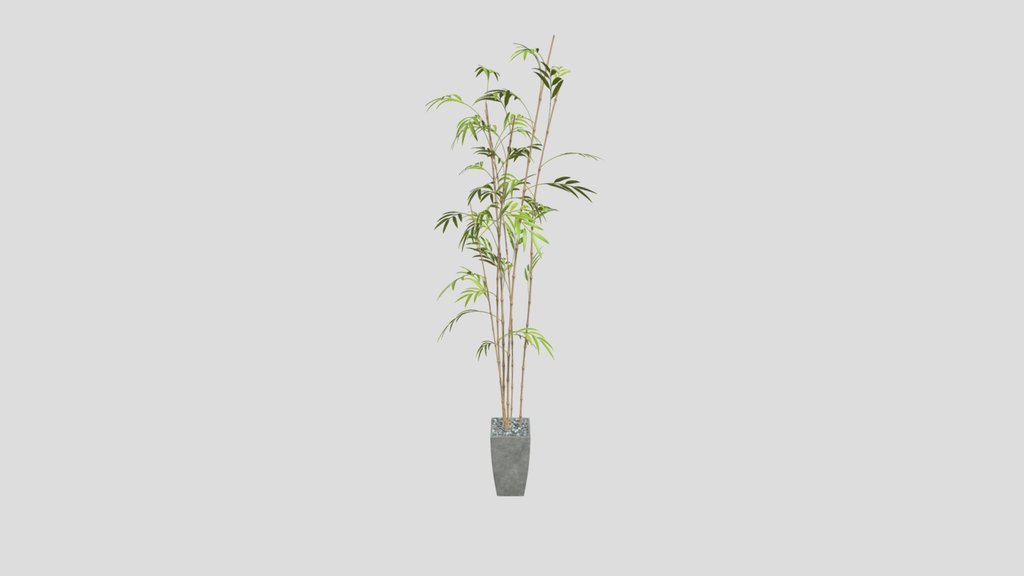 Bamboo Vase