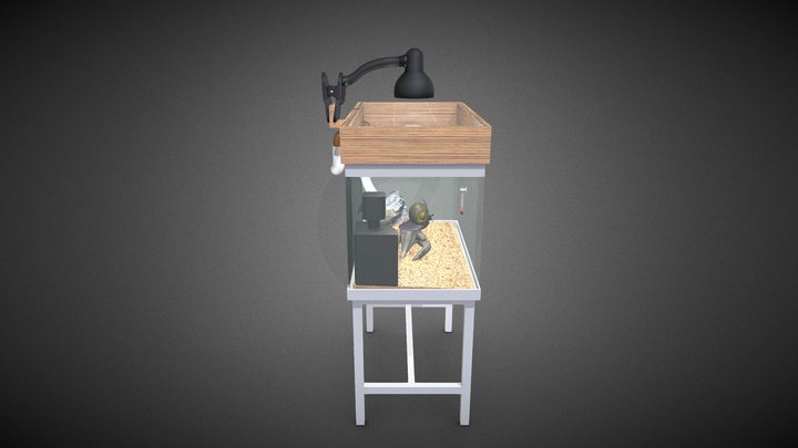 Wilson's home (Aquarium) 3D Model
