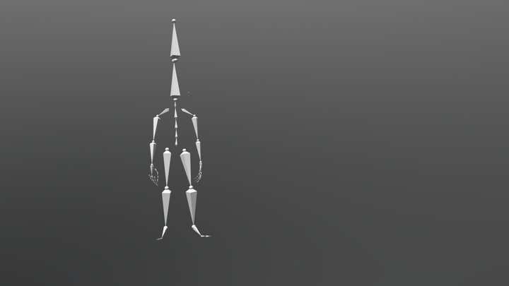 The rig rigged 3D Model