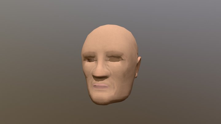 Face 3D Model