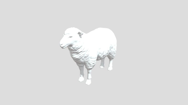 Sheep 3D Model
