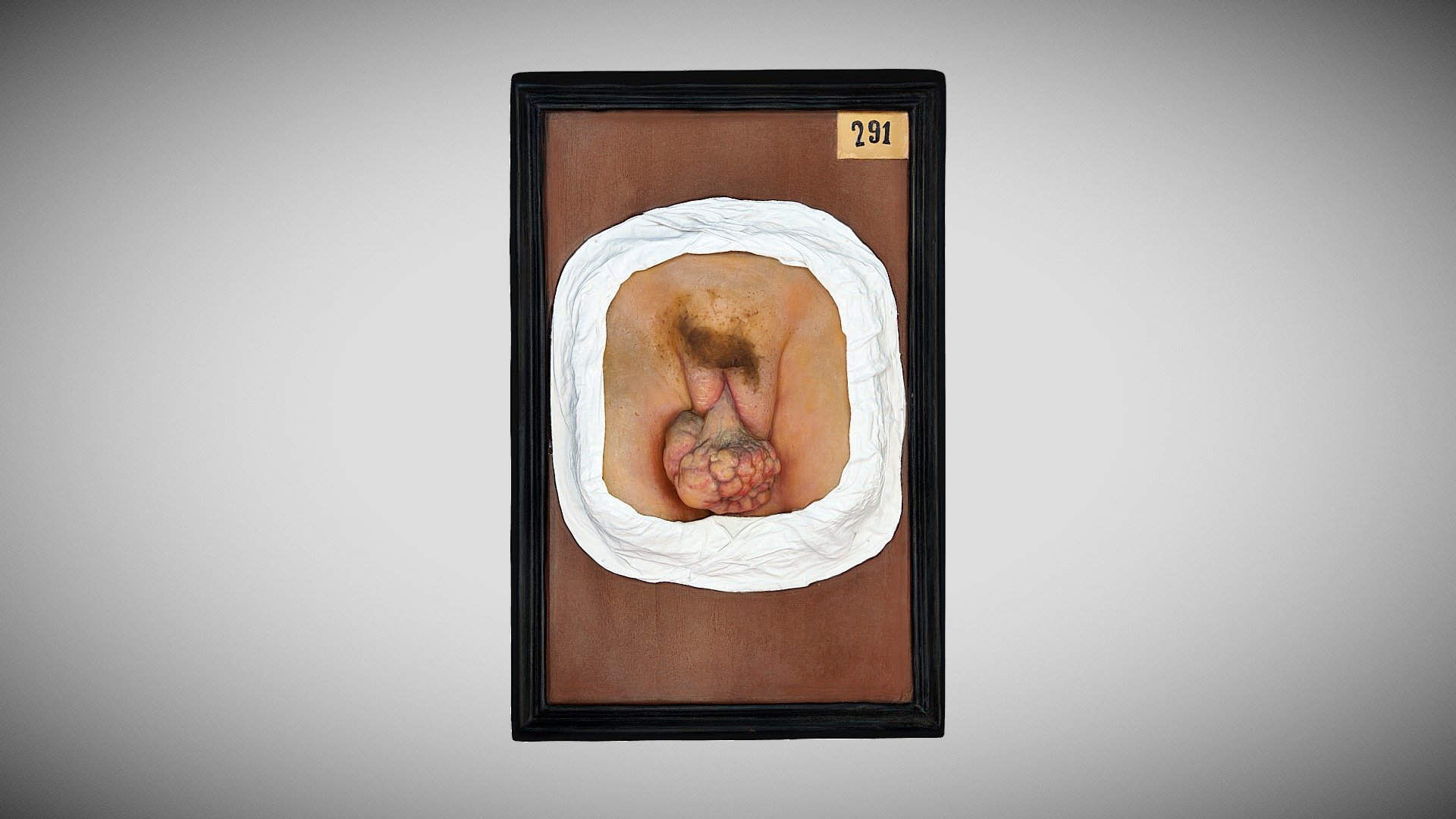 151 - 422 — Sketchfab embed 3D viewer