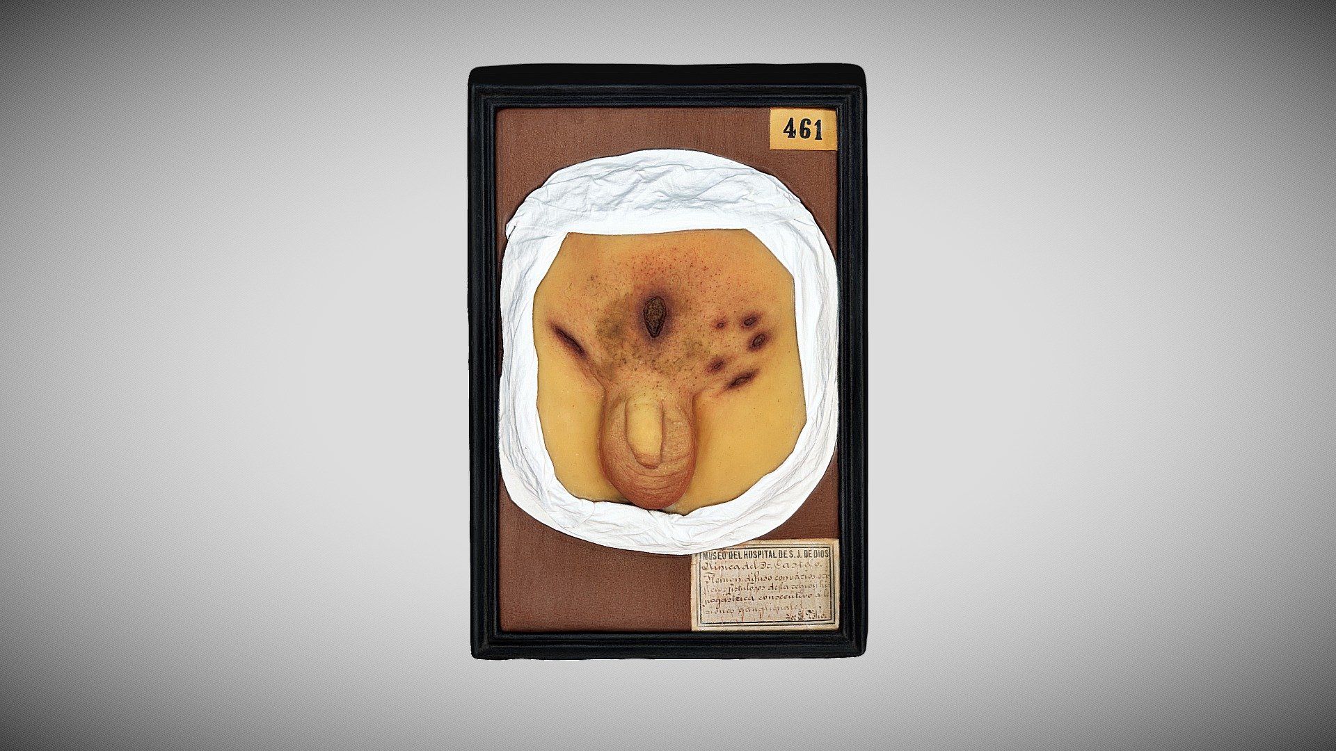 142 - 342 — Sketchfab embed 3D viewer