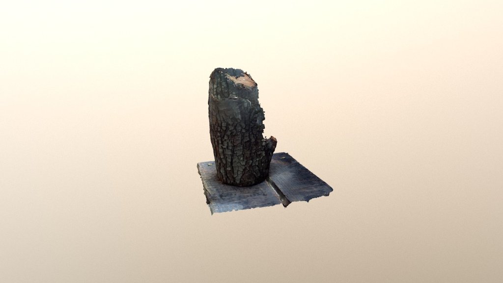 Log photogrammetry