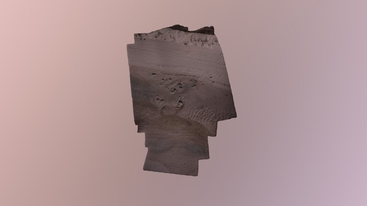 model 3D Model