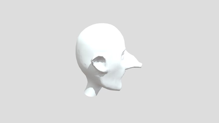 PGDD2_HYVL_hlava 3D Model