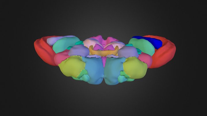 neuron_11930_mmc7 3D Model