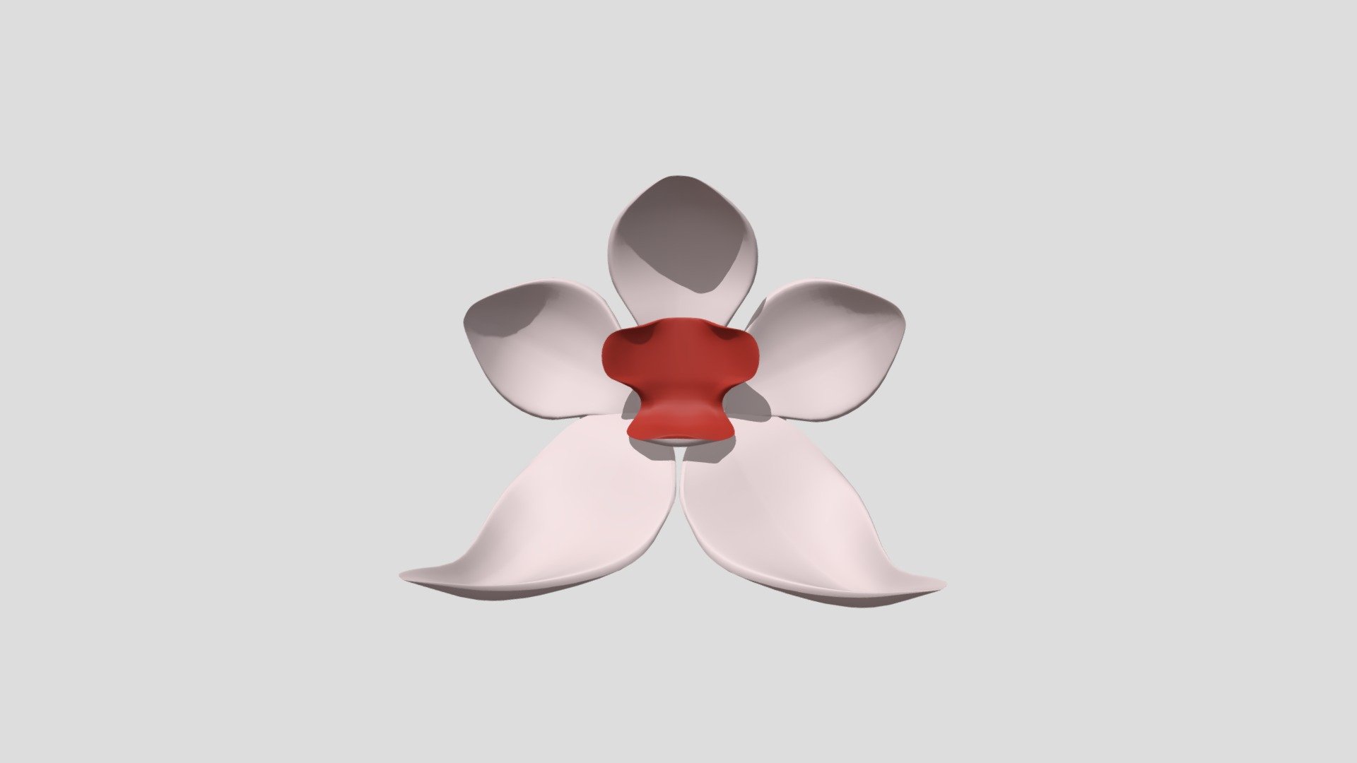 Orchid