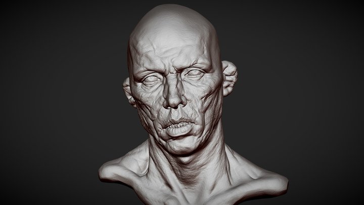Head 3 from Heads Bundle 2 3D Model