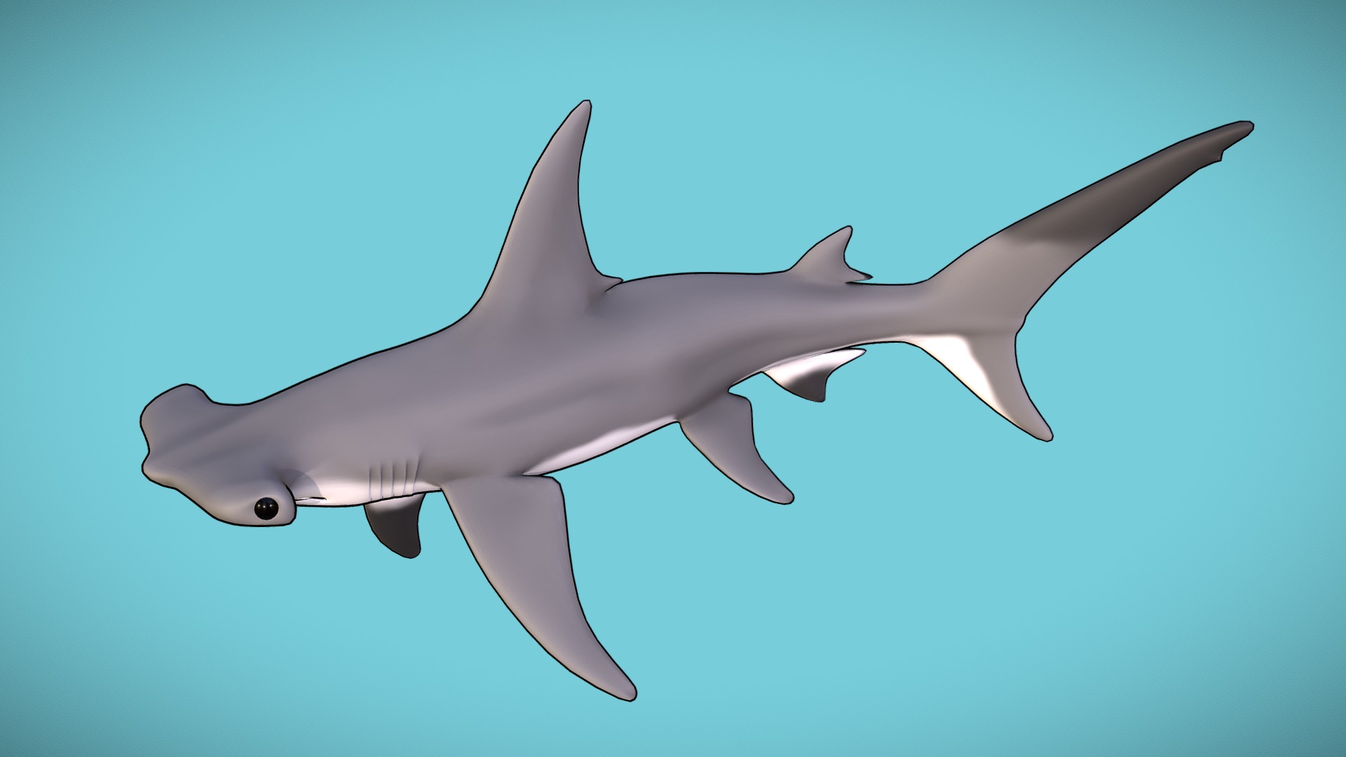 3D model Hammer Head Shark - This is a 3D model of the Hammer Head Shark. The 3D model is about a shark swimming in the water.
