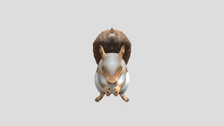 Вивірка сіра Eastern gray squirrel 3D Model