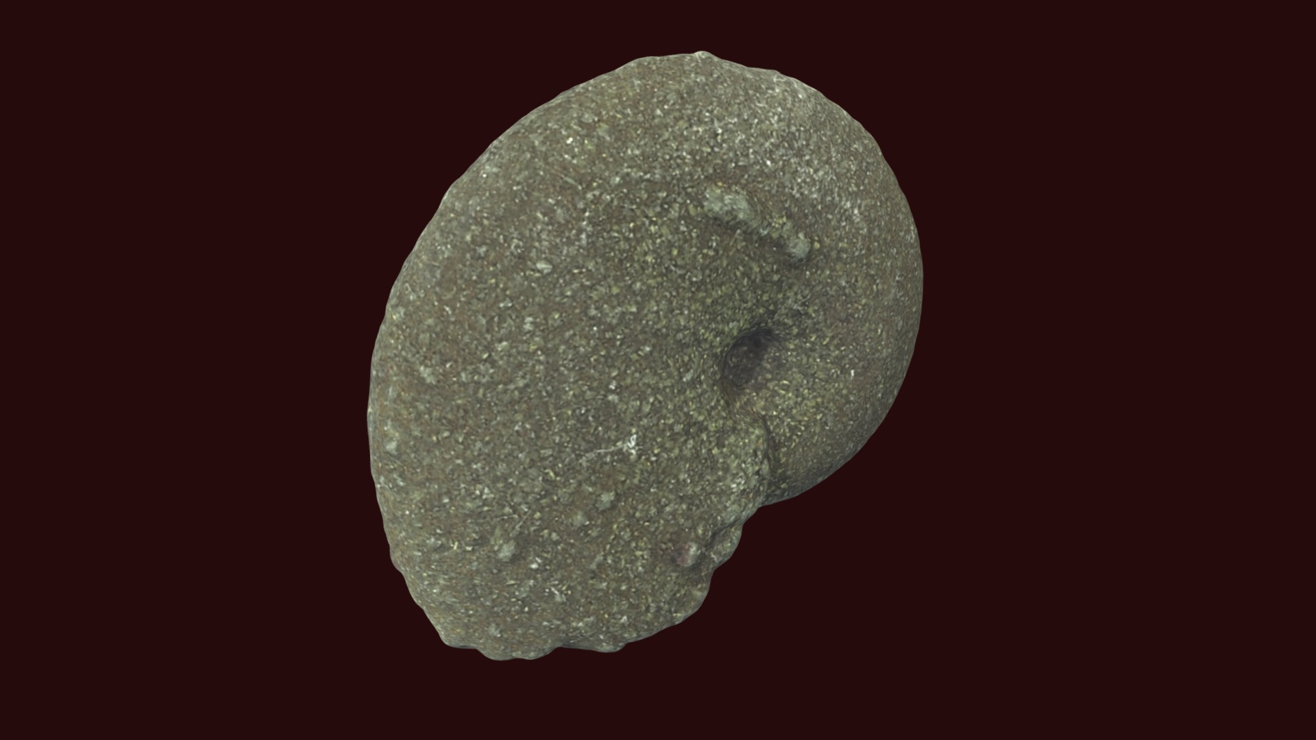 3D model Aconeceras nisus - This is a 3D model of the Aconeceras nisus. The 3D model is about a close-up of a rock.