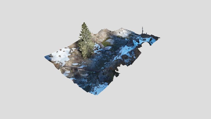 Torrente Artogna - Campertogno (VC) 3D Model