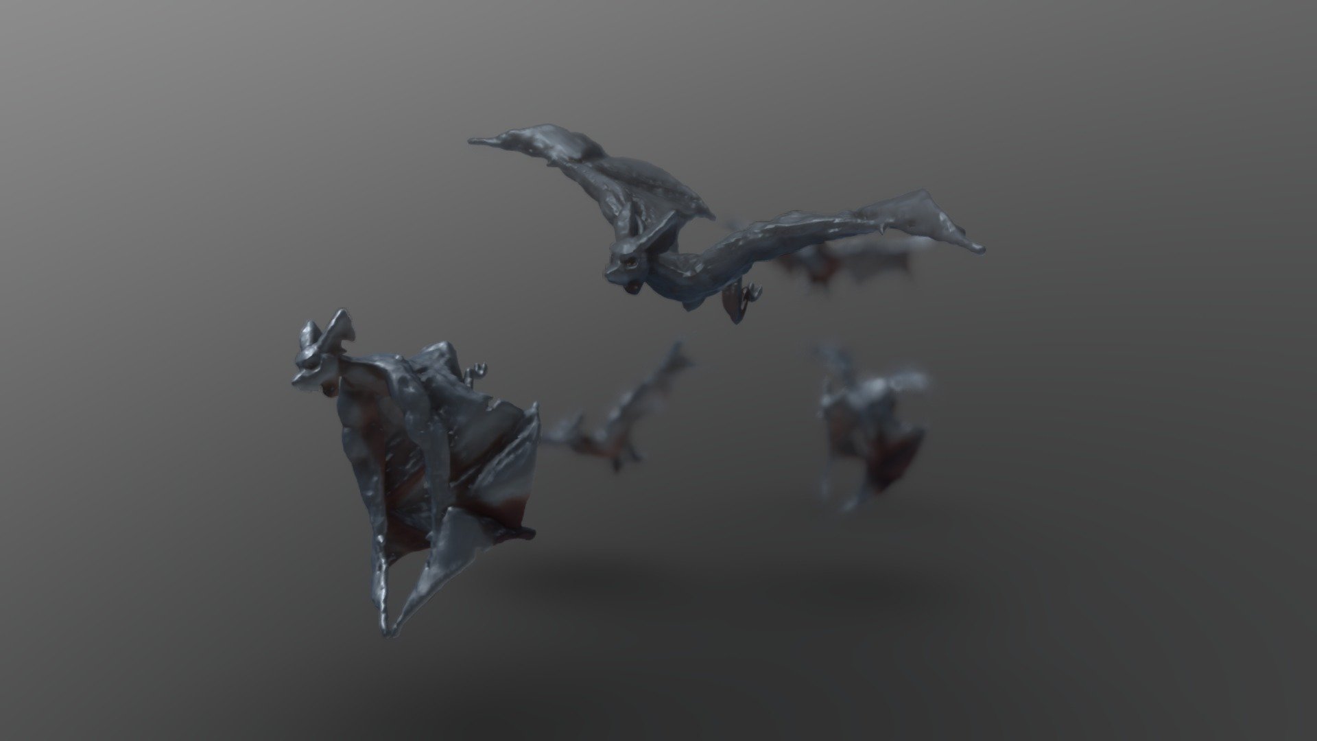 Bats in flight
